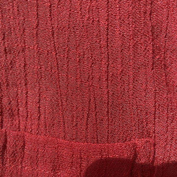 Button Down Shirt- rusty orange - Picture 7 of 8